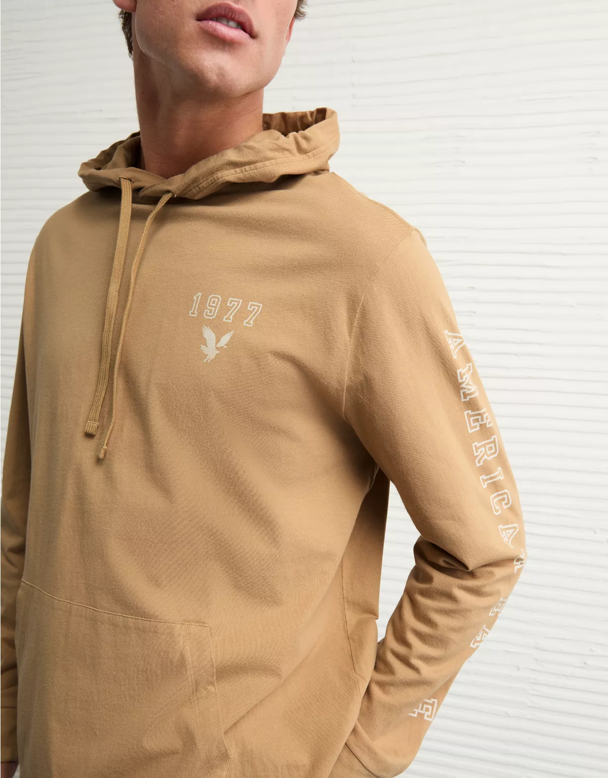 AE Lightweight Icon Logo Graphic Hoodie T-Shirt