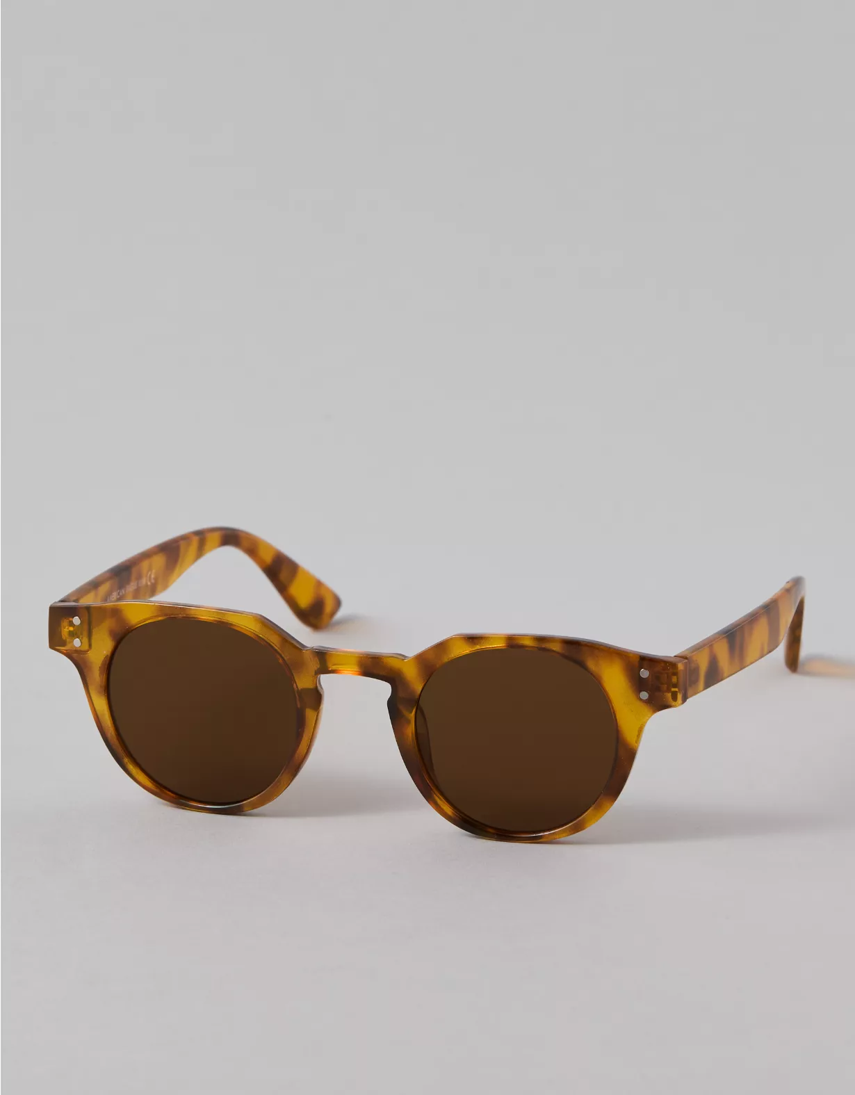 AEO Rounded Sunglasses