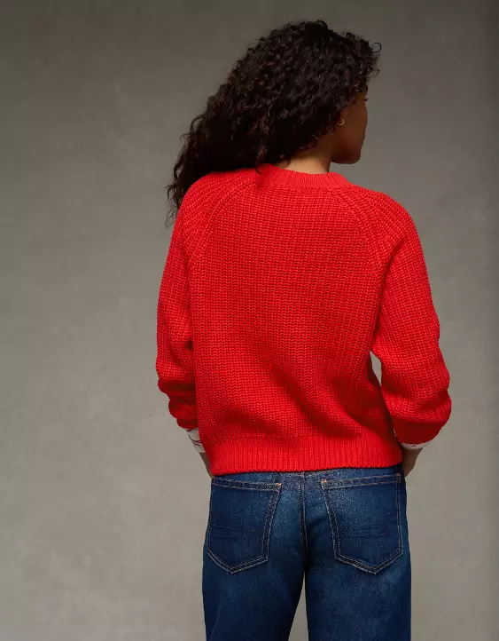 AE Crew Neck Raglan Sweater - Image 2