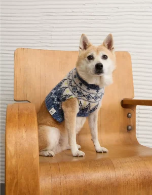 ABO Fairisle Dog Sweater
