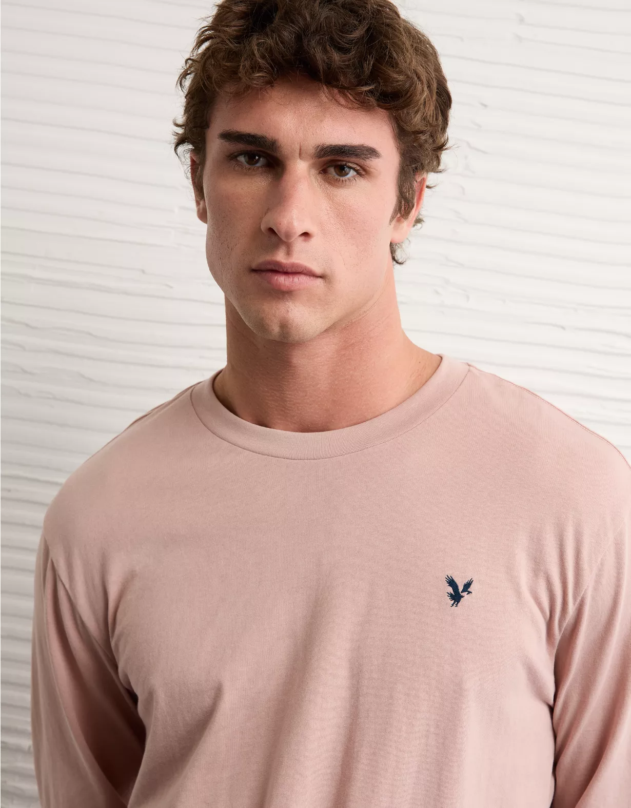 AE Lightweight Icon Long-Sleeve T-Shirt